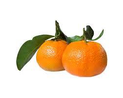Leafy Clementines (Each)