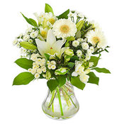 Florist Choice Aqua Pack (Greens & Whites) £20