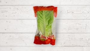 Cos Lettuce (Large)